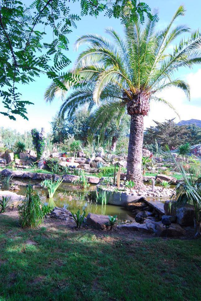 Hotel Punta Sur